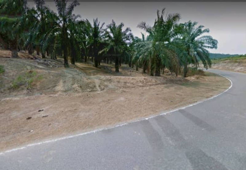 Negeri Sembilan Kuala Pilah Johol 475 acres Palm Oil Land for SALE