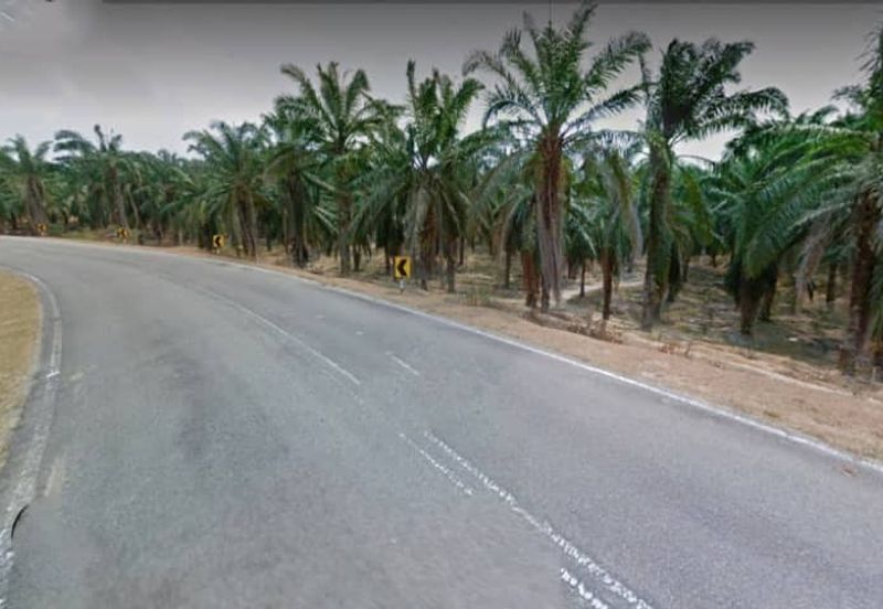 Negeri Sembilan Kuala Pilah Johol 475 acres Palm Oil Land for SALE