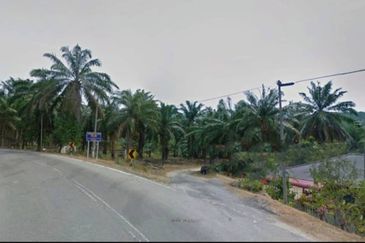 Negeri Sembilan Kuala Pilah Johol 475 acres Palm Oil Land for SALE