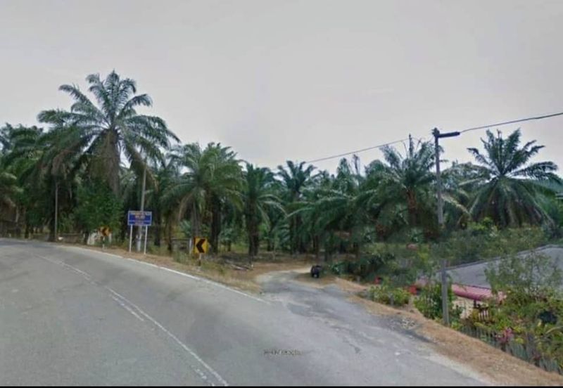 Negeri Sembilan Kuala Pilah Johol 475 acres Palm Oil Land for SALE