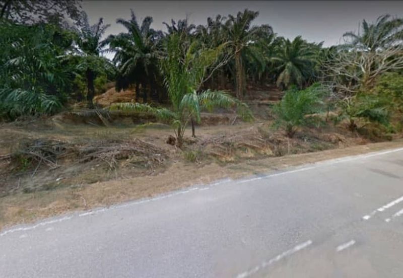 Negeri Sembilan Kuala Pilah Johol 475 acres Palm Oil Land for SALE