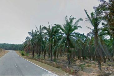 Negeri Sembilan Kuala Pilah Johol 475 acres Palm Oil Land for SALE