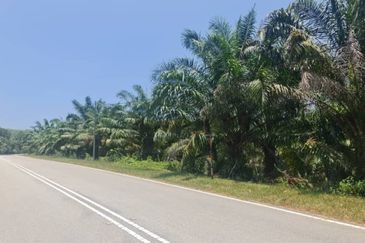 Negeri Sembilan Kuala Pilah Johol 475 acres Palm Oil Land for SALE