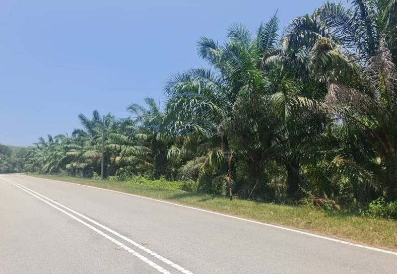 Negeri Sembilan Kuala Pilah Johol 475 acres Palm Oil Land for SALE