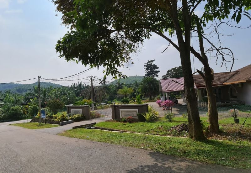 Negeri Sembilan Kuala Pilah Johol 510 Acres Palm Oil Land & Residential Land for SALE ‼️