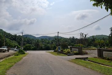 Negeri Sembilan Kuala Pilah Johol 510 Acres Palm Oil Land & Residential Land for SALE ‼️