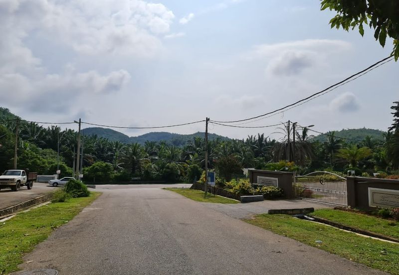 Negeri Sembilan Kuala Pilah Johol 510 Acres Palm Oil Land & Residential Land for SALE ‼️