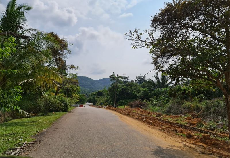 Negeri Sembilan Kuala Pilah Johol 510 Acres Palm Oil Land & Residential Land for SALE ‼️