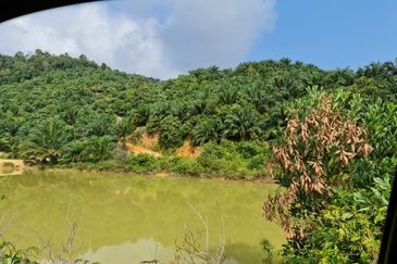 Negeri Sembilan Kuala Pilah Johol 510 Acres Palm Oil Land & Residential Land for SALE ‼️