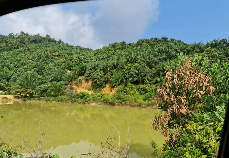 Negeri Sembilan Kuala Pilah Johol 510 Acres Palm Oil Land & Residential Land for SALE ‼️