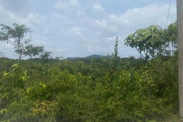 Pahang Maran Luit 1900 Acres Palm Oil Land for SALE ‼️