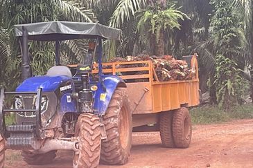 Pahang Maran Luit 1900 Acres Palm Oil Land for SALE ‼️