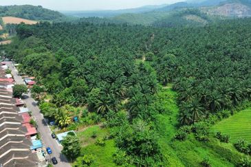 Kulai Sri Putri 20 Acres Industry Land For Sale 