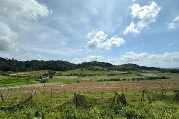 Kulai Sedenak Ayer Bemban 183 Acres Mix Development Land for SALE ‼️