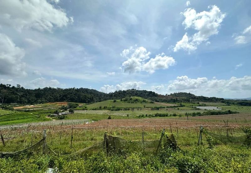 Kulai Sedenak Ayer Bemban 183 Acres Mix Development Land for SALE ‼️