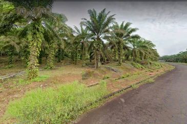 Johor Kulai 1230 Acres Mix Development Palm Oil Land For Sale 