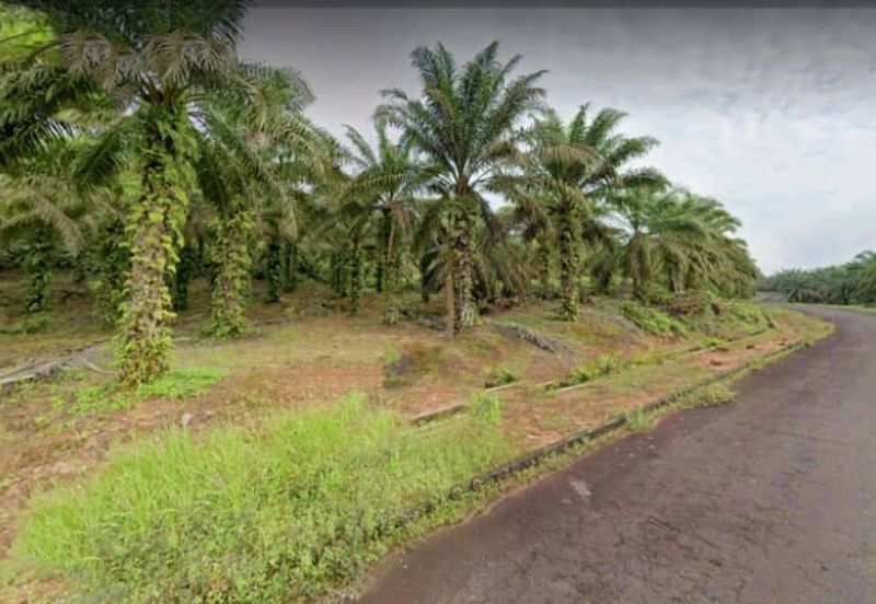 Johor Kulai 1230 Acres Mix Development Palm Oil Land For Sale 