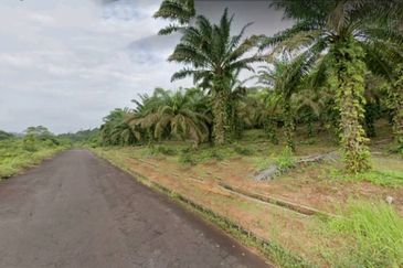 Johor Kulai 1230 Acres Mix Development Palm Oil Land For Sale 