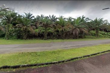 Johor Kulai 1230 Acres Mix Development Palm Oil Land For Sale 