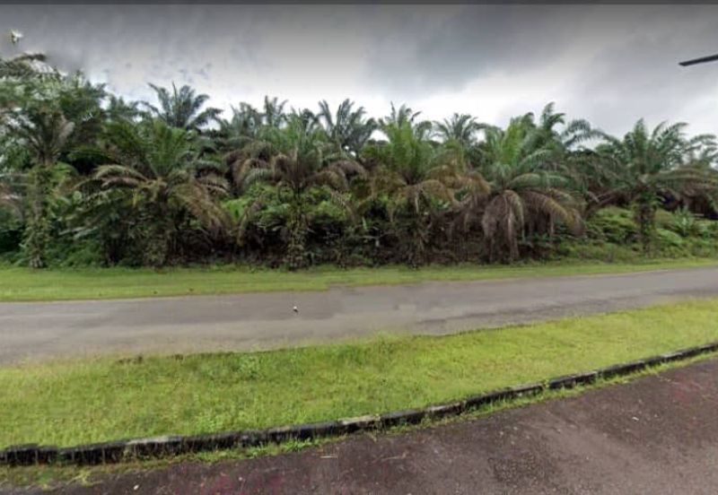 Johor Kulai 1230 Acres Mix Development Palm Oil Land For Sale 