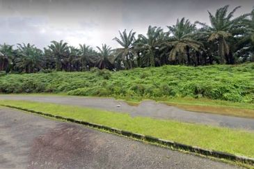 Johor Kulai 1230 Acres Mix Development Palm Oil Land For Sale 