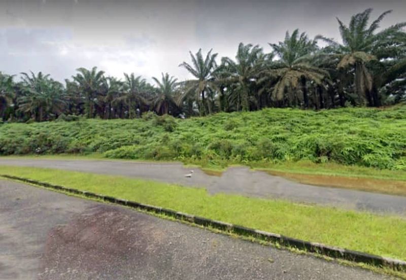 Johor Kulai 1230 Acres Mix Development Palm Oil Land For Sale 