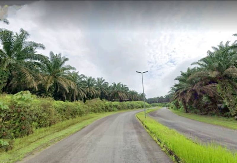 Johor Kulai 1230 Acres Mix Development Palm Oil Land For Sale 
