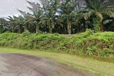 Johor Kulai 1230 Acres Mix Development Palm Oil Land For Sale 