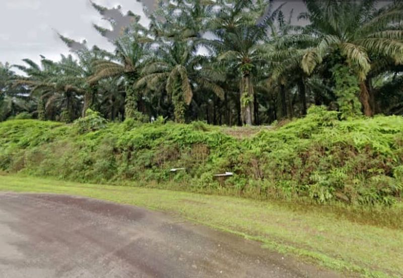 Johor Kulai 1230 Acres Mix Development Palm Oil Land For Sale 