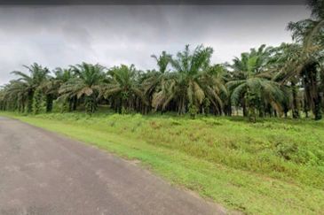 Johor Kulai 1230 Acres Mix Development Palm Oil Land For Sale 