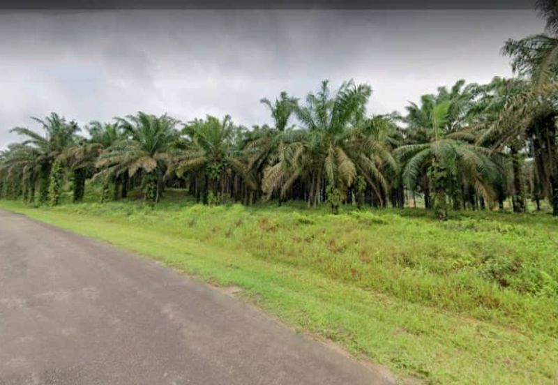 Johor Kulai 1230 Acres Mix Development Palm Oil Land For Sale 