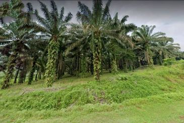 Johor Kulai 1230 Acres Mix Development Palm Oil Land For Sale 