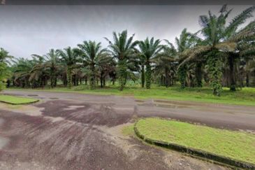 Johor Kulai 1230 Acres Mix Development Palm Oil Land For Sale 