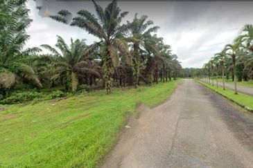 Johor Kulai 1230 Acres Mix Development Palm Oil Land For Sale 