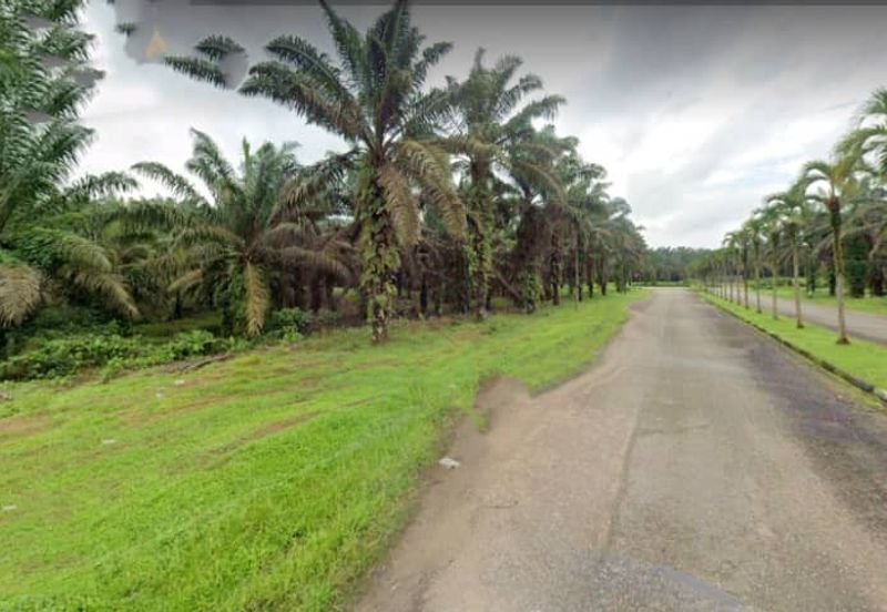 Johor Kulai 1230 Acres Mix Development Palm Oil Land For Sale 