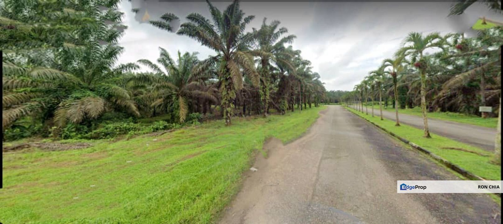 Johor Kulai 1230 Acres Mix Development Palm Oil Land For Sale , Johor, Kulai