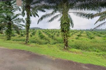 Johor Kulai 1230 Acres Mix Development Palm Oil Land For Sale 