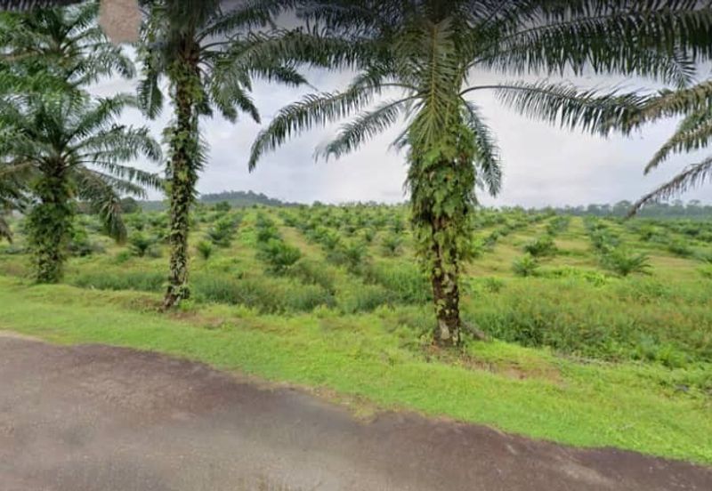 Johor Kulai 1230 Acres Mix Development Palm Oil Land For Sale 