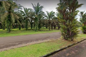 Johor Kulai 1230 Acres Mix Development Palm Oil Land For Sale 