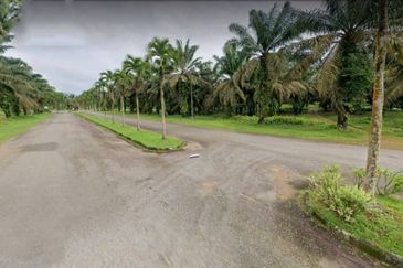 Johor Kulai 1230 Acres Mix Development Palm Oil Land For Sale 