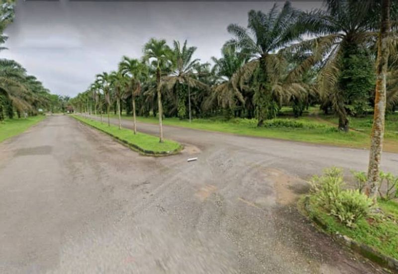 Johor Kulai 1230 Acres Mix Development Palm Oil Land For Sale 