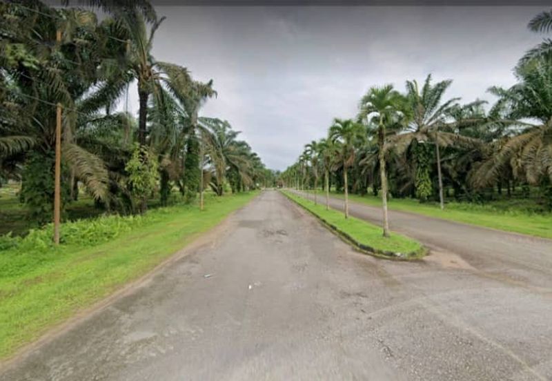 Johor Kulai 1230 Acres Mix Development Palm Oil Land For Sale 