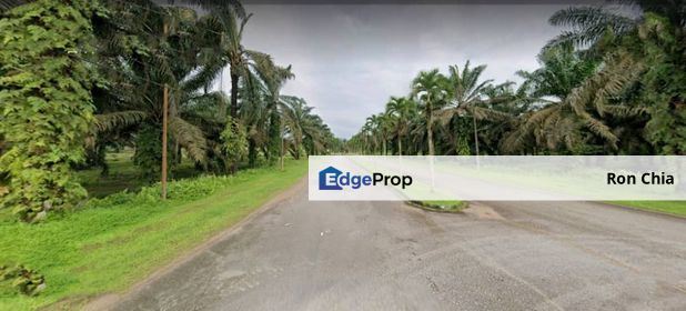 Johor Kulai 1230 Acres Mix Development Palm Oil Land For Sale , Johor, Kulai