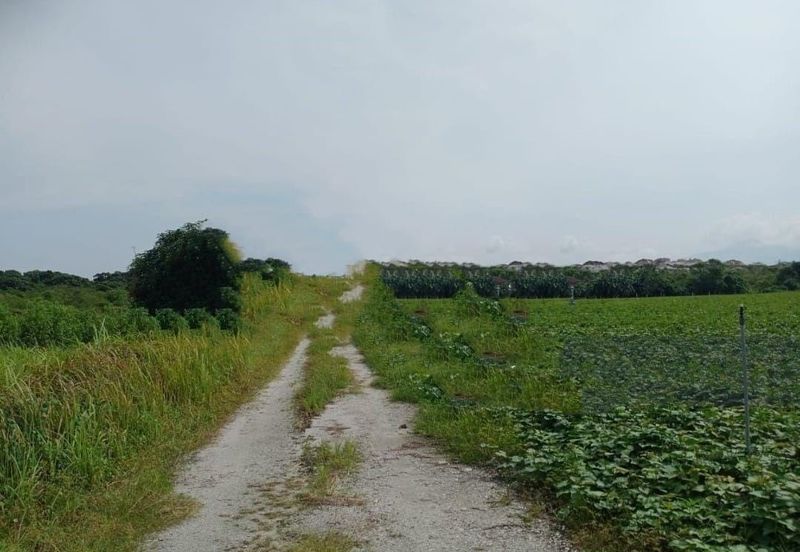 Perak Batang Padang Tapah 140 Acres FREEHOLD FLAT Land for SALE ‼️