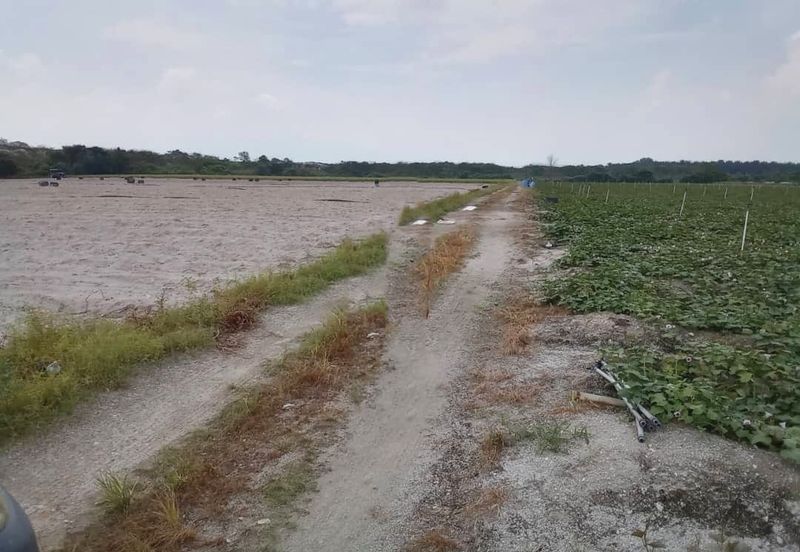 Perak Batang Padang Tapah 140 Acres FREEHOLD FLAT Land for SALE ‼️