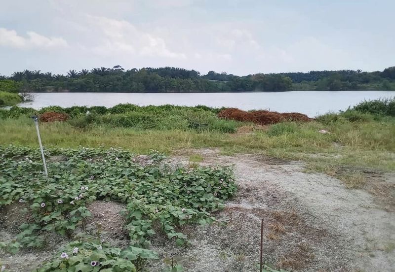 Perak Batang Padang Tapah 140 Acres FREEHOLD FLAT Land for SALE ‼️