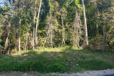 Selangor Petaling Bukit Raja Puncak Alam 40 Acres Zoning Residential Land for SALE ‼️