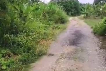 Selangor Hulu Selangor Batang Kali 73 Acres Converted Industrial Land for SALE ‼️