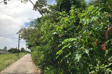 Kempas Baru Commercial Land For Sale 