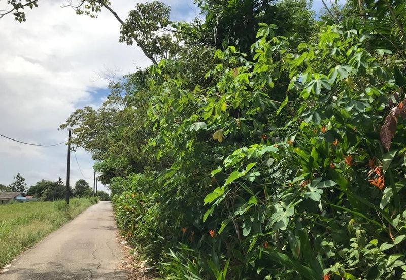 Kempas Baru Commercial Land For Sale 